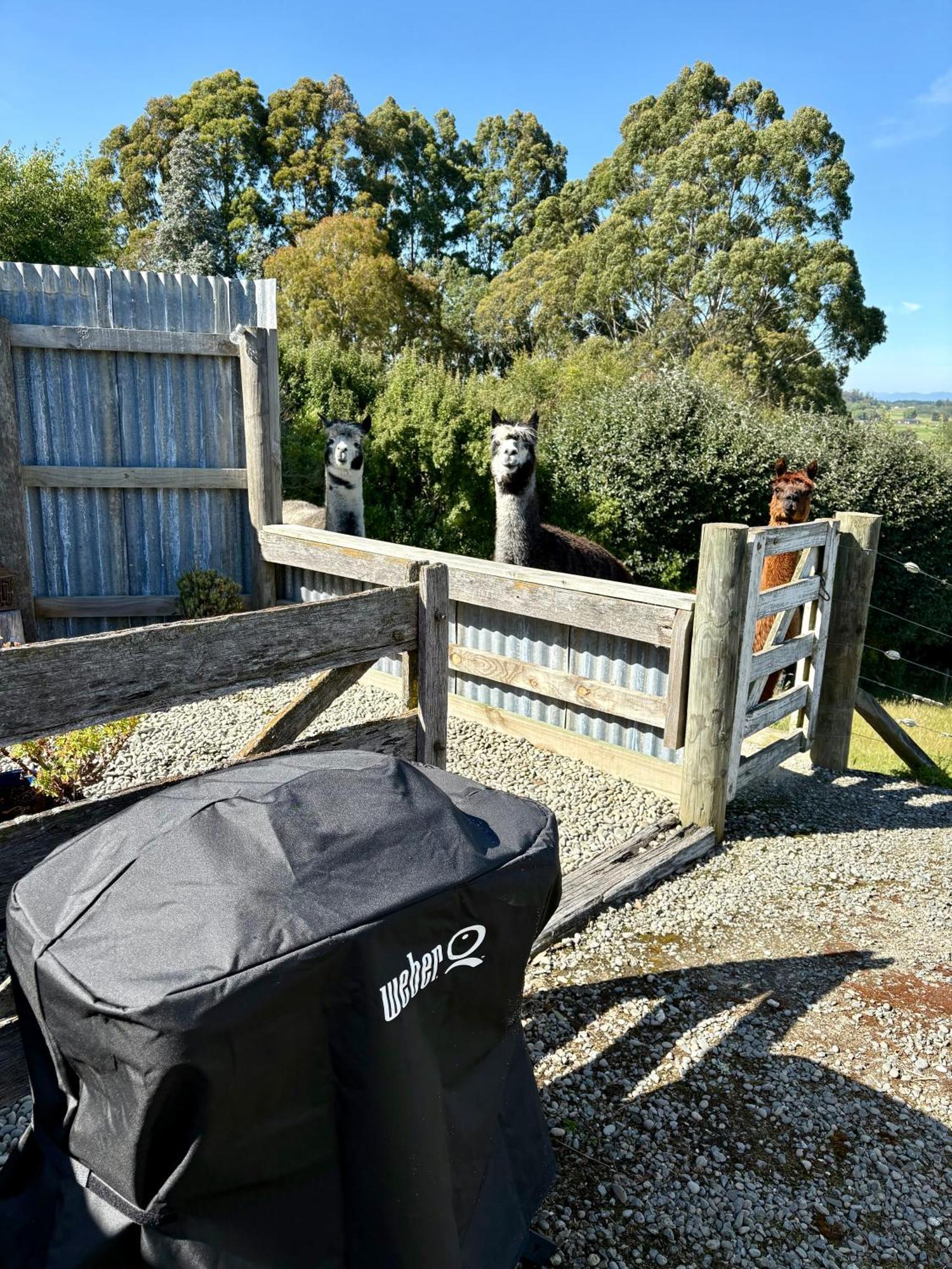 The Shepherd'S Rest Hotel Oamaru Exterior photo